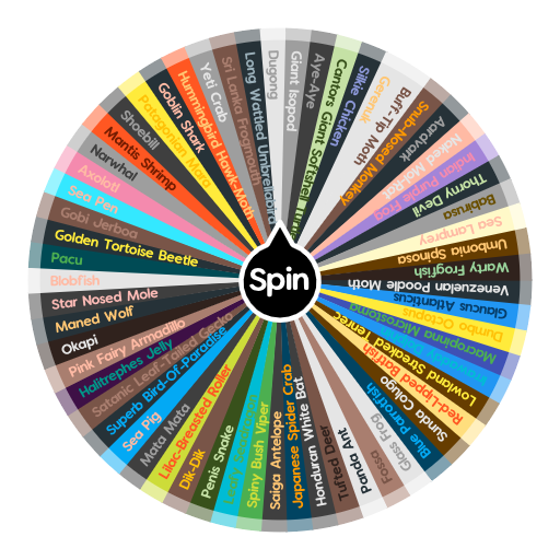 61 Wierdest Animals | Spin The Wheel App