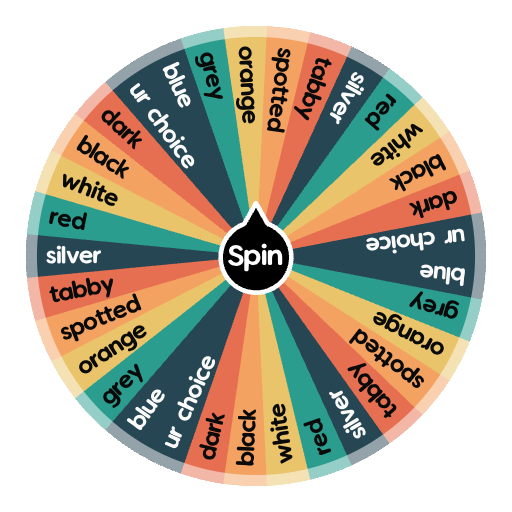 Random Wheel Patterns fur pattern | Spin The Wheel - Random Picker