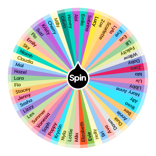random spinning wheel name picker