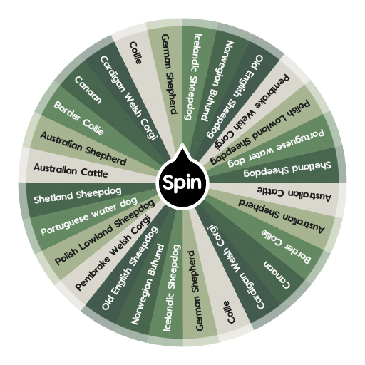 Herding dogs Spin the Wheel Random Picker