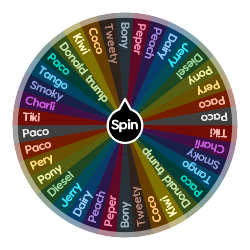 random bingo wheel name picker