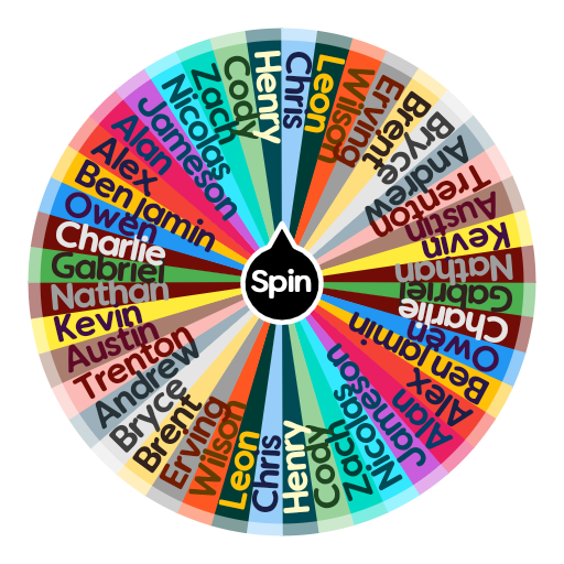 random name picker spin the wheel