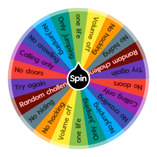 One Time Use Roblox Challenge On Feefee Spin The Wheel App - roblox app disguising something else