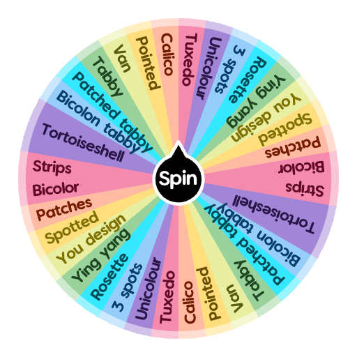 Random Wheel Patterns Patterns in the cat | Spin The Wheel - Random Picker