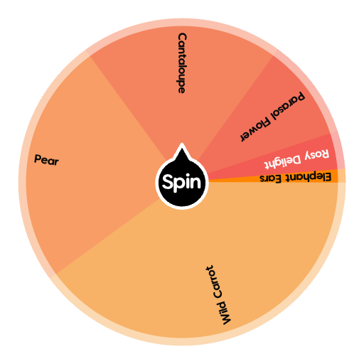 Summer Seed Pack | Spin The Wheel - Random Picker