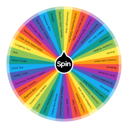 The Age of Man | Spin The Wheel - Random Picker
