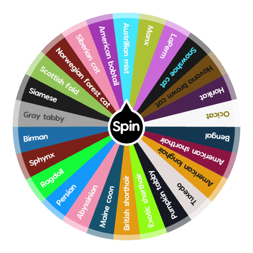 The wheel of cats | Spin The Wheel App