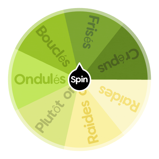 Types de cheveux / Types of hair Spin the Wheel Random Picker