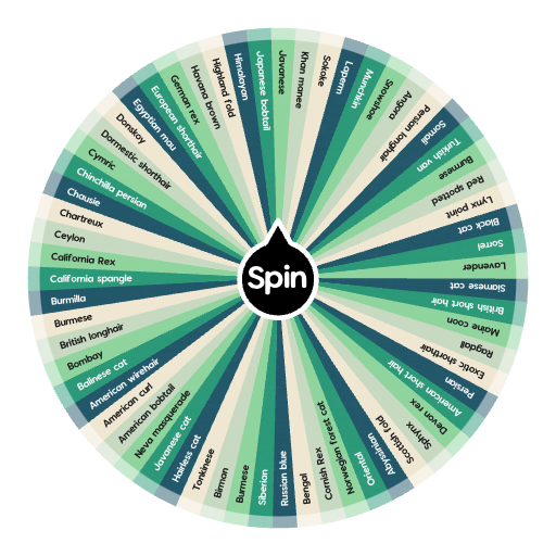 What cat breed are you 🐱🐈😻 Spin the Wheel Random Picker