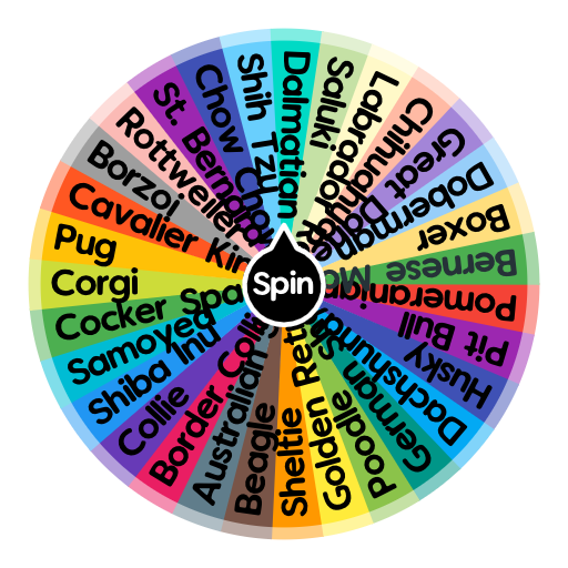 What Dog Breed are you? | Spin the Wheel - Random Picker