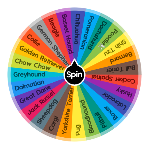 What Kind Of Dog Are You Spin The Wheel App   What Kind Of Dog Are You 