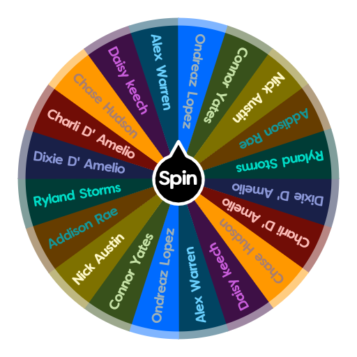 Who is the best tiktoker at the Hype house? | Spin The Wheel App